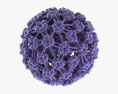Virus du papillome Modèle 3d