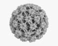 乳頭腫ウイルス 3Dモデル