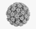 Virus del papiloma Modelo 3D