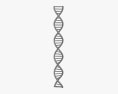 DNA 3D-Modell