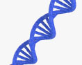 DNA 3D-Modell