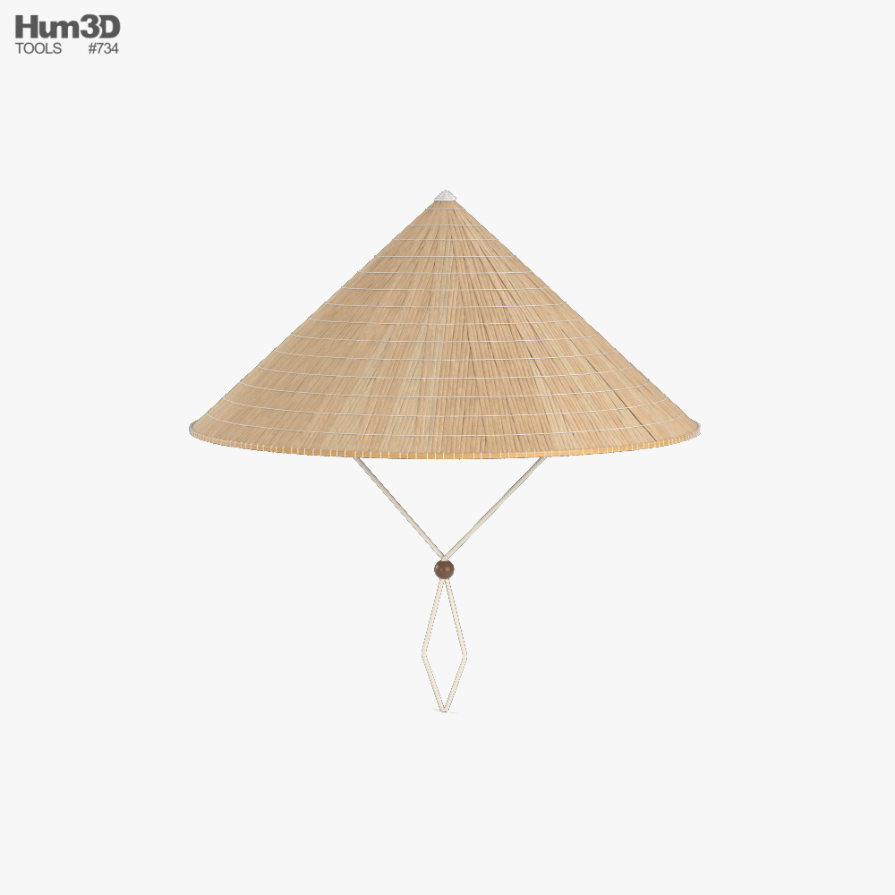 Vietnamese Rice Hat 3D model