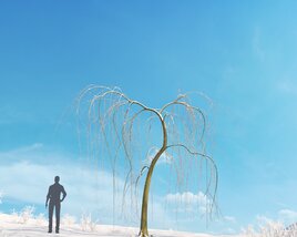 Willow Weeping Winter Modello 3D