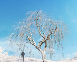 Willow Weeping Winter 03 3D 모델 