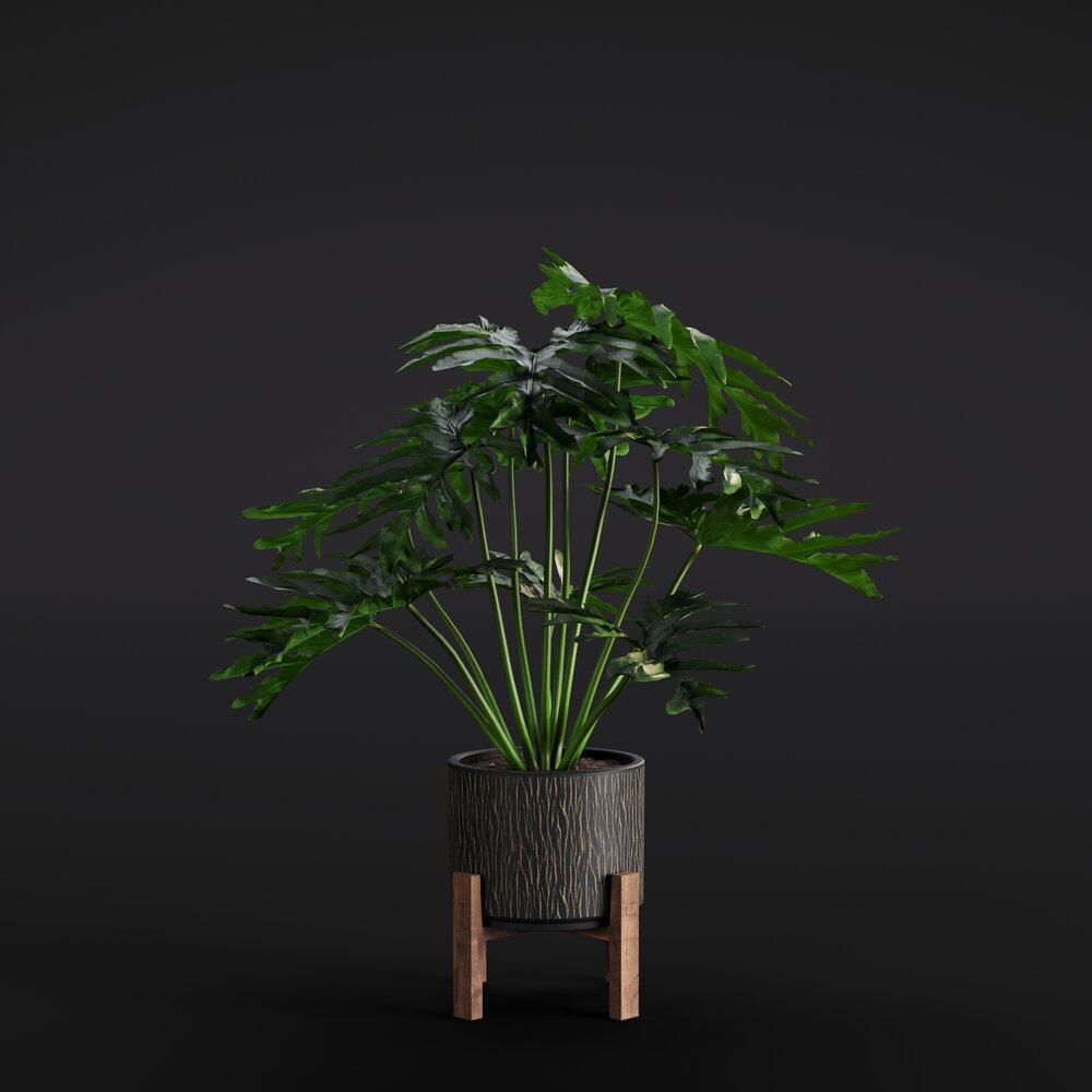 Philodendron Selloum Modello 3D