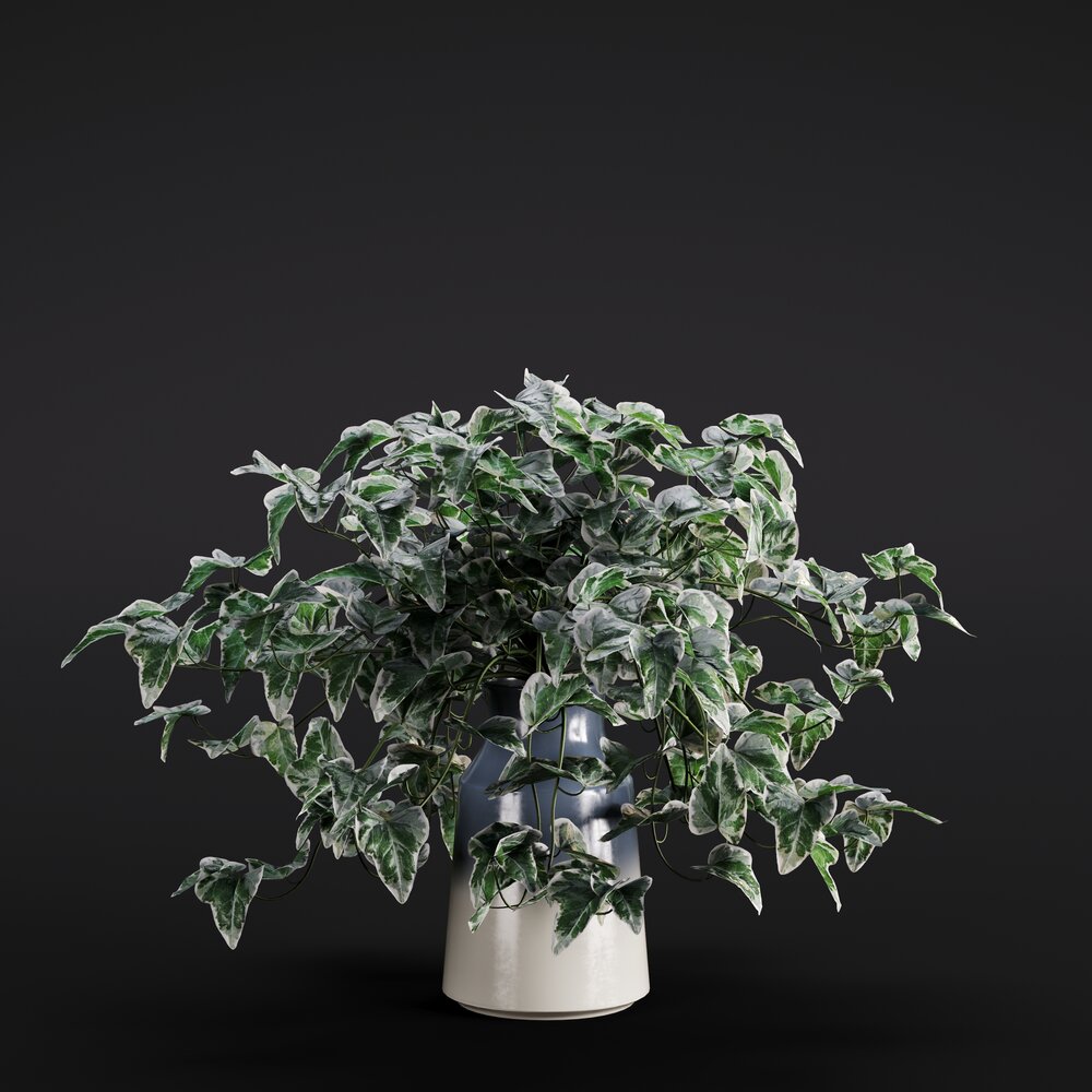 Hedera Helix 3D-Modell