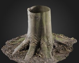 Stump 3D модель