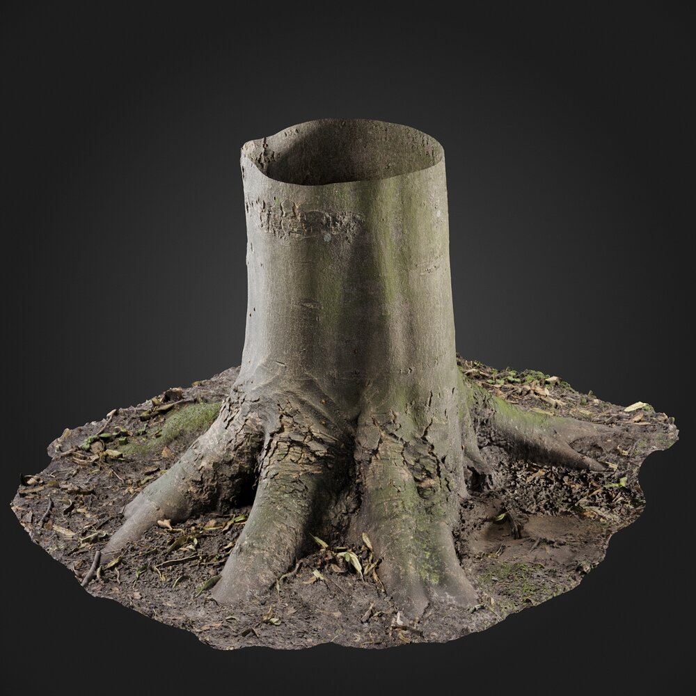 Stump 3D model