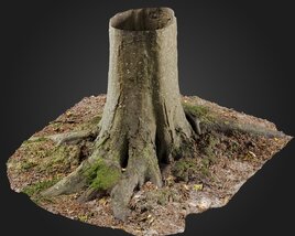 Stump 02 3D model