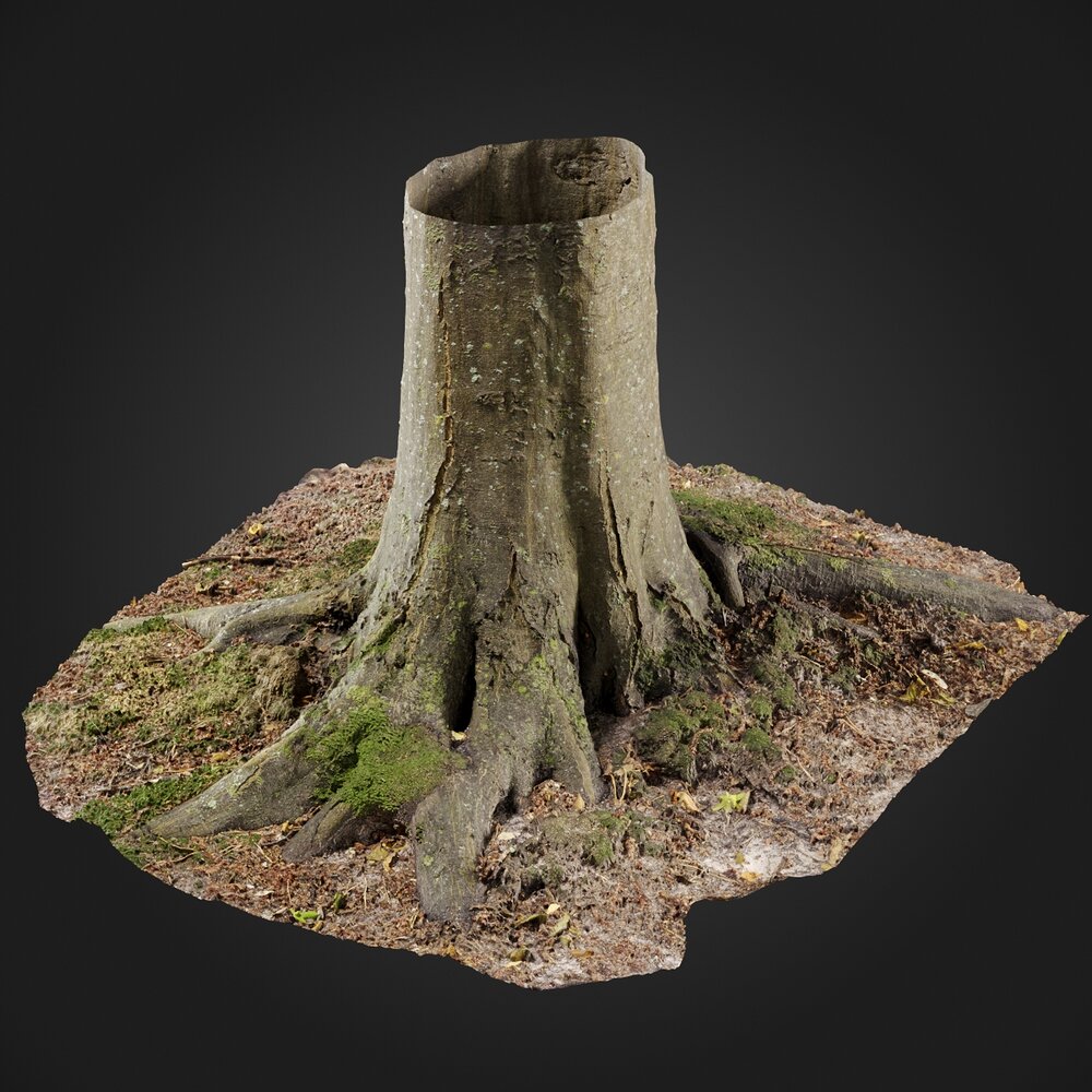 Stump 02 3D模型