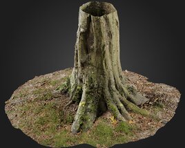 Stump 03 3Dモデル