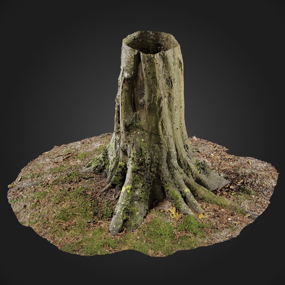 Stump 03 3D model