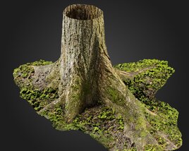 Stump 04 3D model
