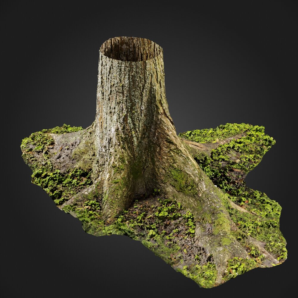 Stump 04 3D 모델 