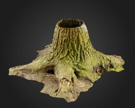 Stump 05 3D model