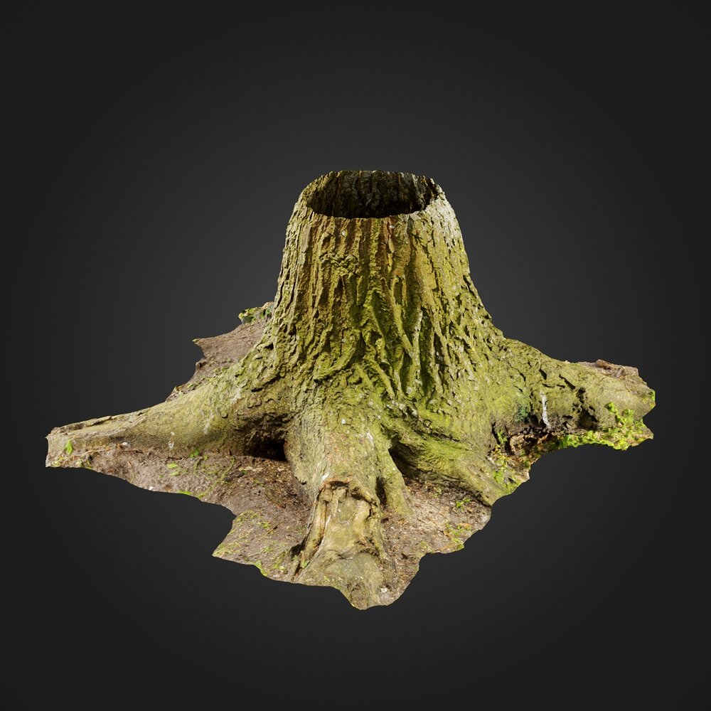 Stump 05 3D модель