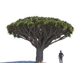 Dragon Tree 03 3D model