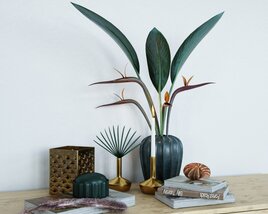 Decorative Tabletop Plant and Accessories Modello 3D