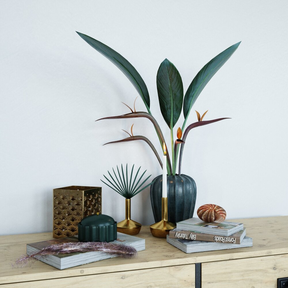 Decorative Tabletop Plant and Accessories 3D 모델 