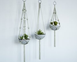 Hanging Planter Trio 3D модель