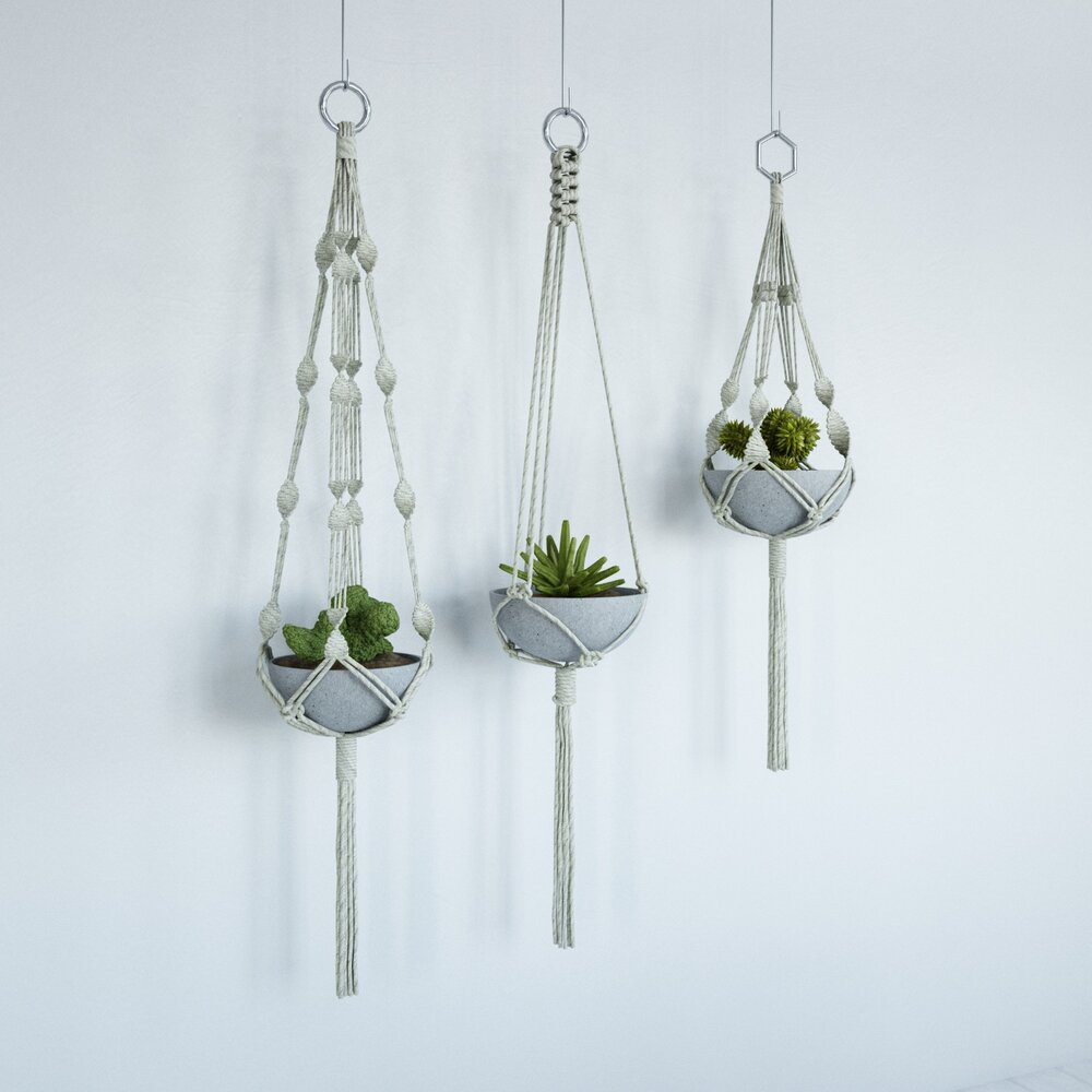 Hanging Planter Trio 3D model