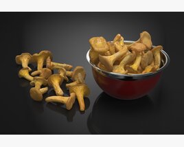 Chanterelle Mushrooms 3D-Modell