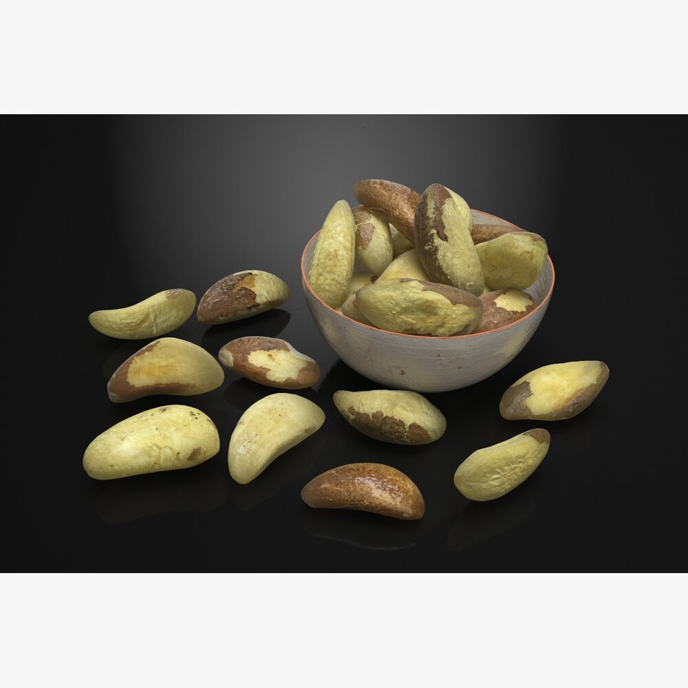 Brazil Nuts 02 3Dモデル