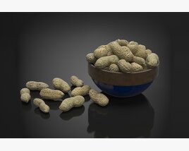 Bowl of Raw Peanuts 3D модель