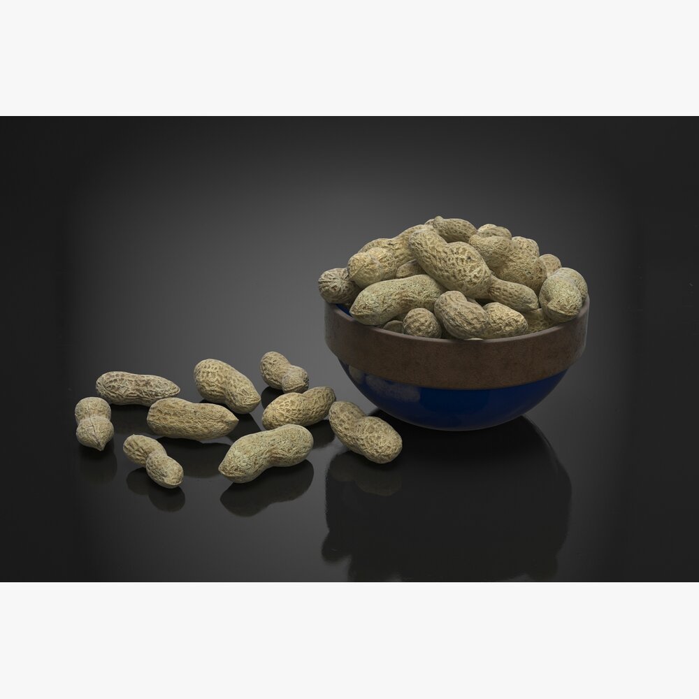Bowl of Raw Peanuts 3D 모델 