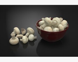 Bowl of Mushrooms 3D 모델 
