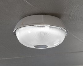 Ceiling Light Fixture Modelo 3d