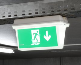 Emergency Exit Sign 02 3D model