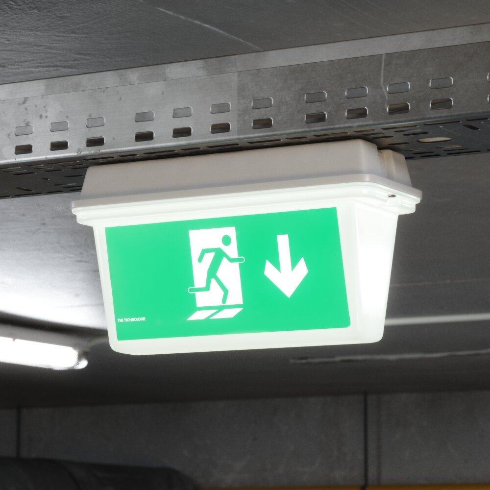 Emergency Exit Sign 02 3D 모델 