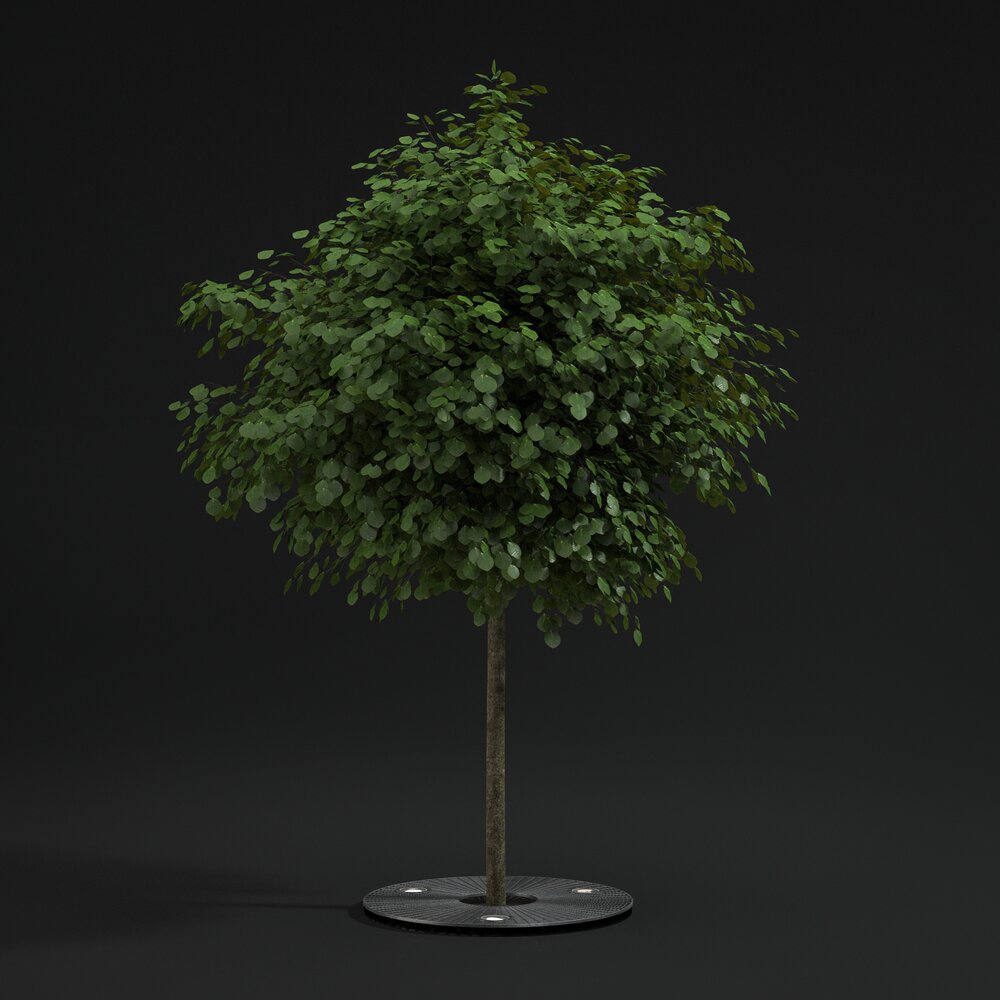Pavement Tree 02 Modelo 3d