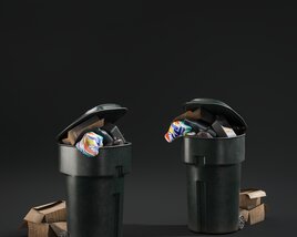 Full Trash Cans Modello 3D