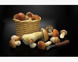 Wicker Basket of Mushrooms Modèle 3D