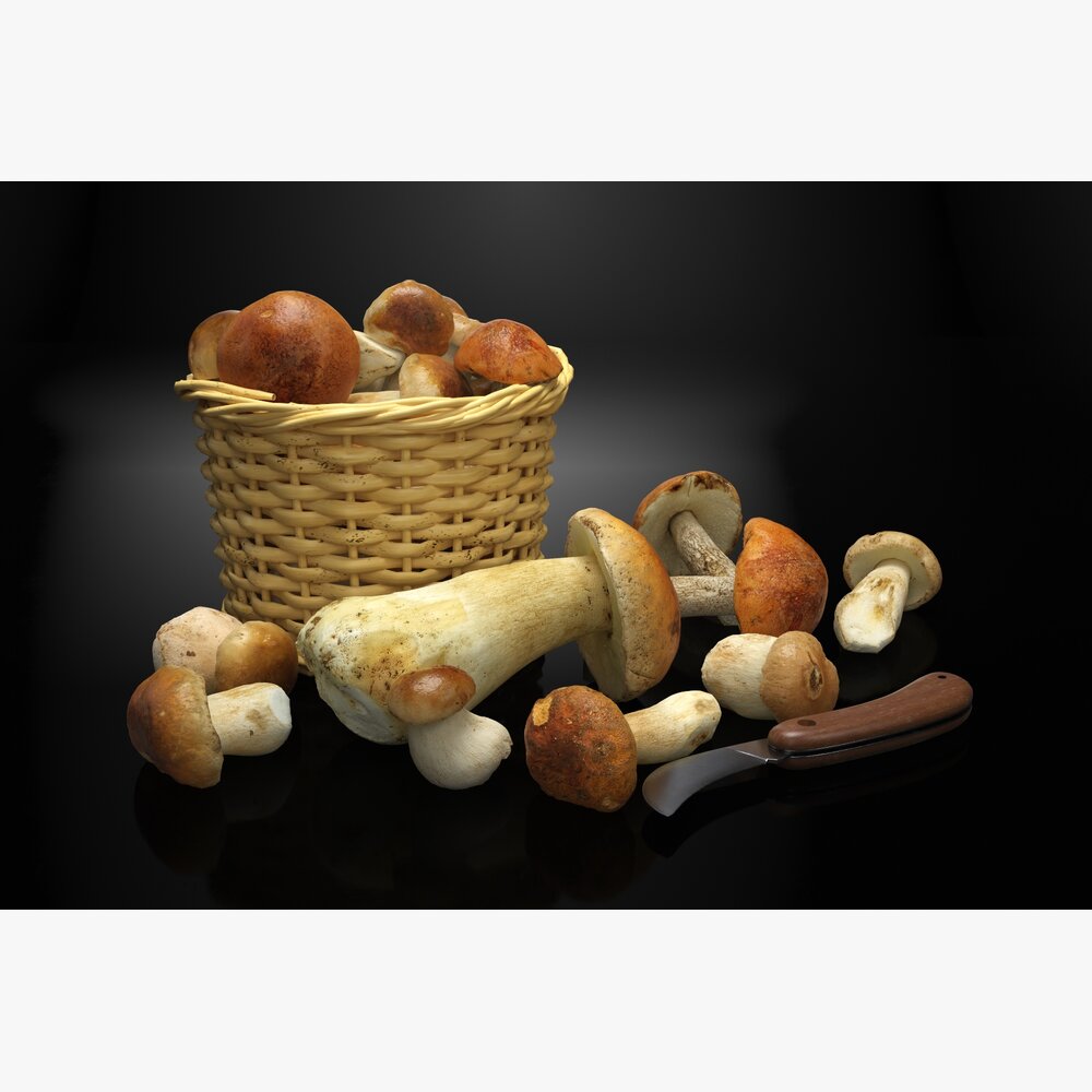Wicker Basket of Mushrooms Modelo 3d