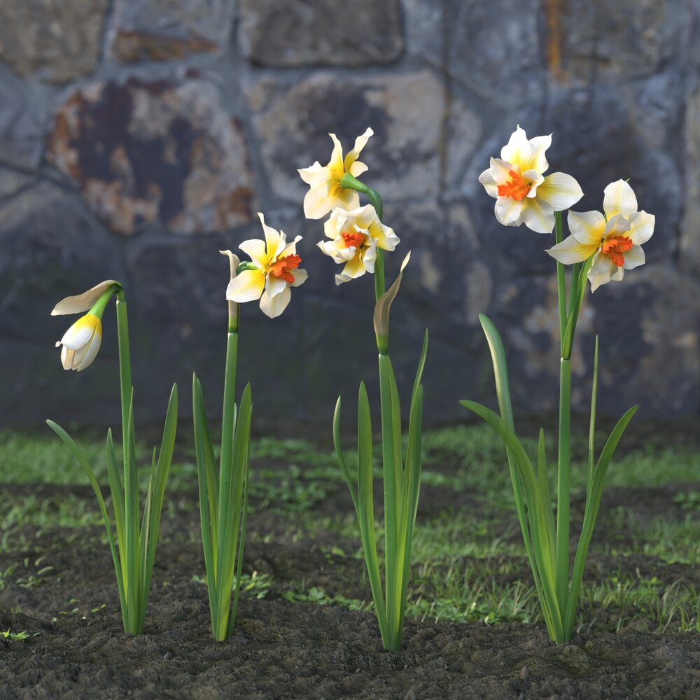 Narcissus 3d model