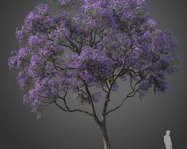 Blue Jacaranda Tree Modelo 3d