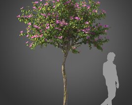 Blooming Small Bauhinia tree 3D model