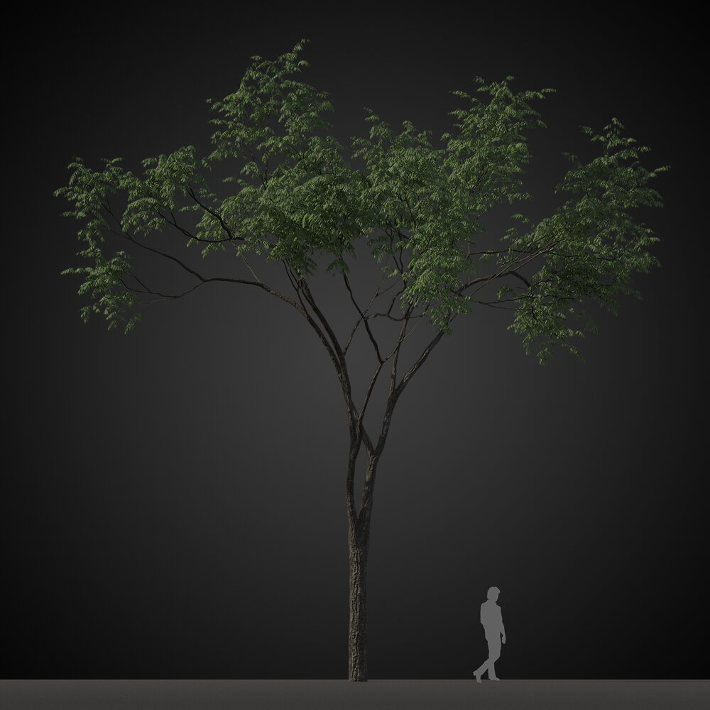 Green Solitary Tree 3D 모델 