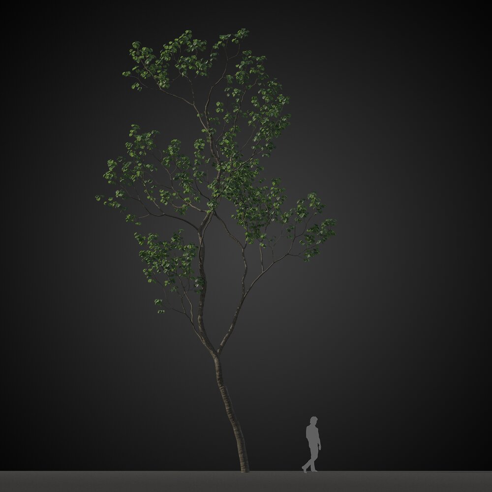 Twisted Solitary Tree Modelo 3D