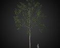 Tall Singular Tree 3d model