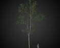 Tall Lone Tree Modelo 3d