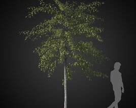 Majestic Lone Tree Modello 3D