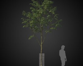 Tree for Street Visualization 3D 모델 