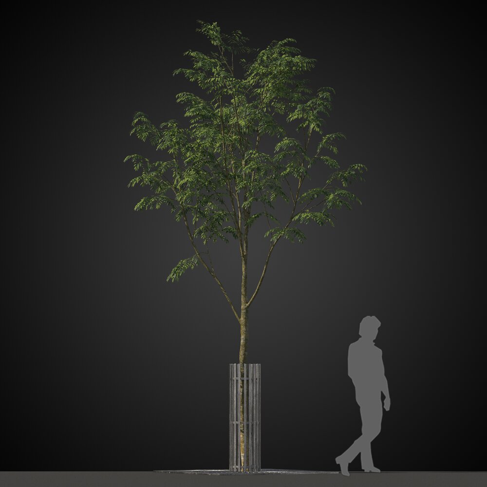 Tree for Street Visualization 3D-Modell