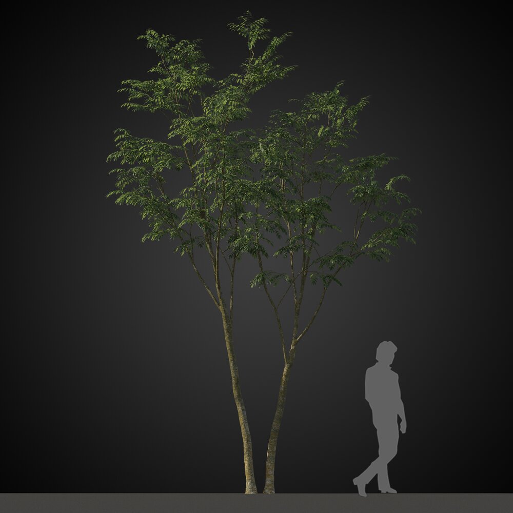 Small Tree for Rendering Modelo 3d