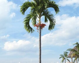 Tropical Palm Tree 14 3D 모델 