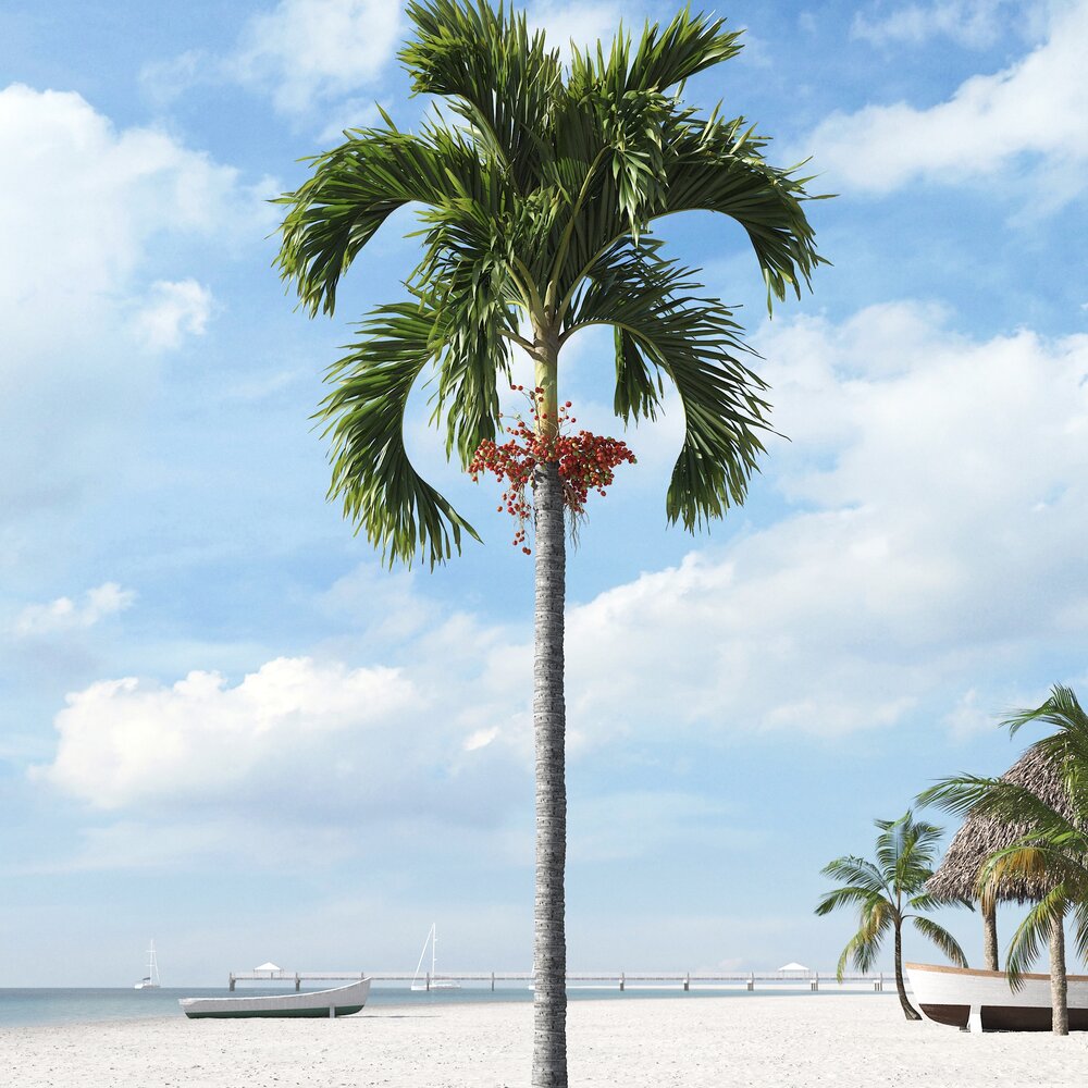 Tropical Palm Tree 14 3Dモデル
